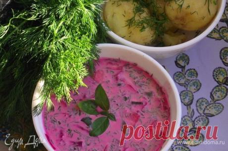 Белорусский холодник , пошаговый рецепт на 3334 ккал, фото, ингредиенты - Татьяна Онегина