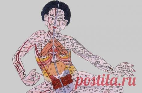 Как очистить кровь: секреты тибетских врачей - HeadInsider