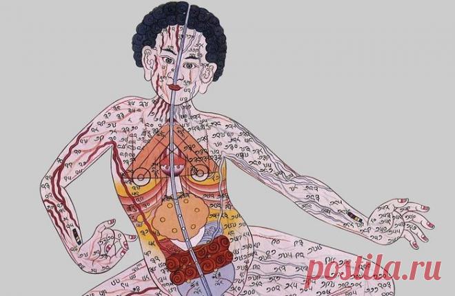 Как очистить кровь: секреты тибетских врачей - HeadInsider