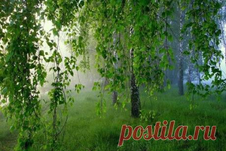 Мой Мир@Mail.Ru