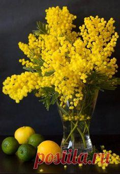 bouquets that I buy for myself (Mimosa)