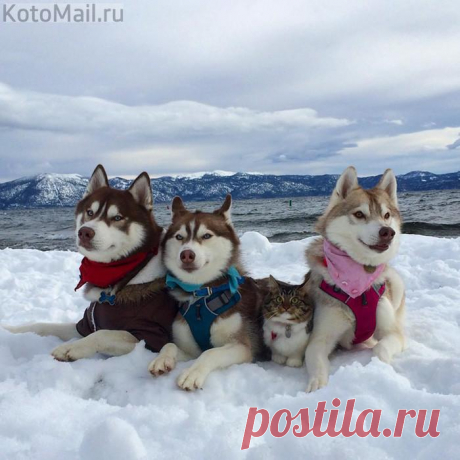 С вами - хоть на край света!