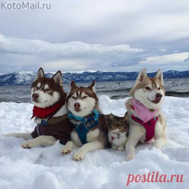 С вами - хоть на край света!