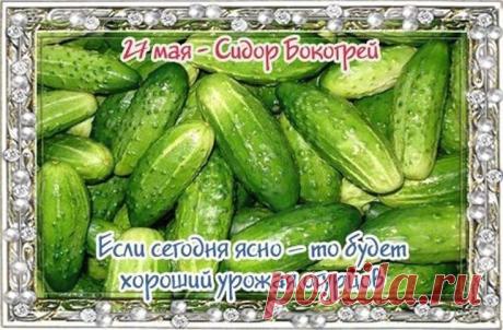 С днем Сидора, весенним и прекрасным, Пусть будет на душе светло и ясно! Желаю теплых, солнечных деньков, Улыбок, счастья и красивых слов. Открытки на Сидор Бокогрей!