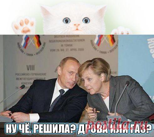 Одноклассники