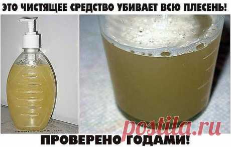 ЭТО ЧИСТЯЩЕЕ СРЕДСТВО УБИВАЕТ ВСЮ ПЛЕСЕНЬ! ПРОВЕРЕНО ГОДАМИ!

Всем советую! У нас старый дом и раньше постоянно заводилась плесень. Покупали дорогую химию, убирало, но ненадолго. По совету соседки сделали это средство и вот уже 4-й год плесени не видно! Держите рецепт:
• 2 ч. л. эфирного масла чайного дерева (для дезинфекции);
• 2 чашки воды.
1ч.л. спирта для растворения масла (на дно)
Залейте в пульверизатор ингредиенты, встряхните и брызгайте на проблемные зоны.

Срок хр...