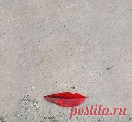 УЛЫБКА ОСЕНИ... (Мона Лиза отдыхает..))