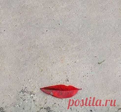 УЛЫБКА ОСЕНИ... (Мона Лиза отдыхает..))