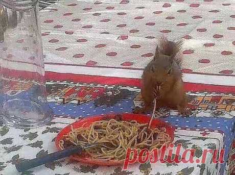 У меня чуть рюмка из рук не выпала ... Думаю всё, пришла ..