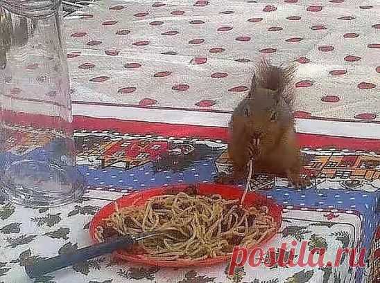У меня чуть рюмка из рук не выпала ... Думаю всё, пришла ..
