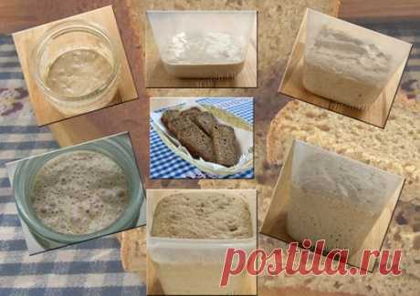 Хранение и восстановление закваски для хлеба
