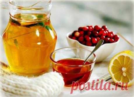 Калина при бронхите » Интернет-газета Кумушка.com