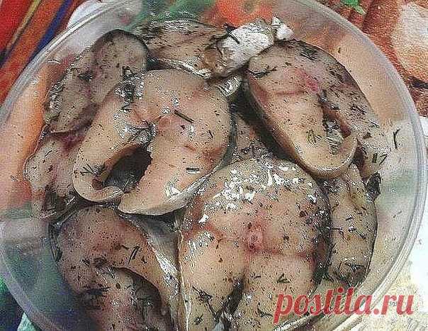 Запись на стене Самый вкусный рецепт засолки рыбы. Ингредиенты: рыба свеже-мороженная (селедка или скумбрия) - 2 штуки 2 столовые ложки соли 1 столовая ложка сахара 2-3 столовых ложек укропа, можно свежий 0,5 чайной ложки чёрного перца сухой базилик (по желанию) Приготовление: Берем рыбу свеже-мороженную (селедку или скумбрию). Рыбку распотрошить, промыть, высушить салфеткой и нарезать на кусочки. На пищевую плёнку выкладывае...
