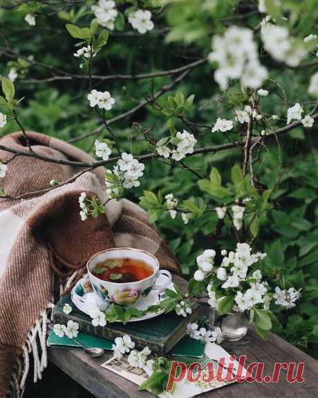 ,,...И вновь закружит в танце новая неделя...
                                                       ...ПРОЩАНЬЕ С МАЕМ !!!...,,