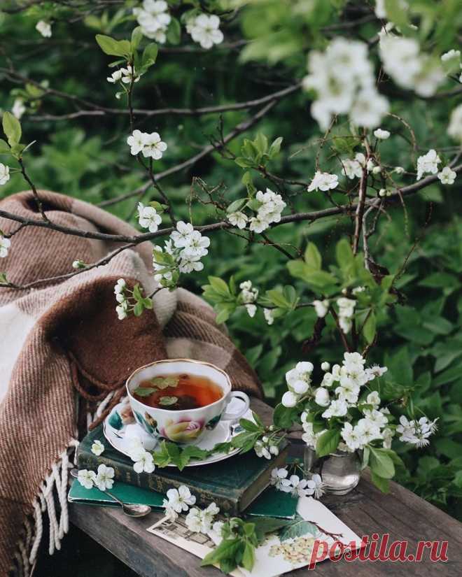 ,,...И вновь закружит в танце новая неделя...
                                                       ...ПРОЩАНЬЕ С МАЕМ !!!...,,