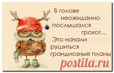 Новости