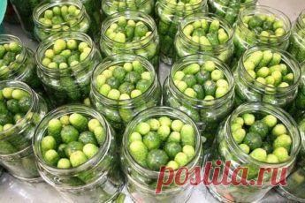 Маринованные огурцы «по-детски»