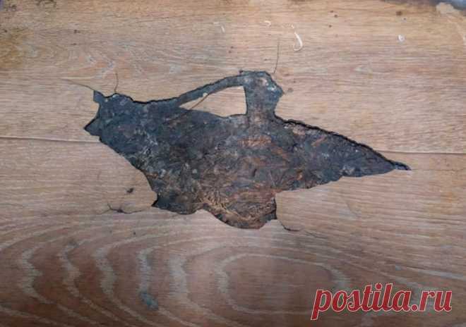 Как поставить заплатку на линолеум за 20 минут