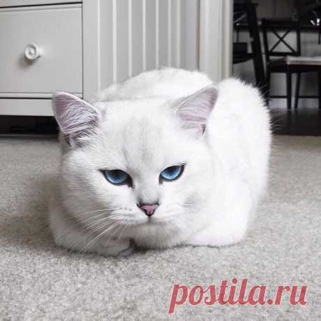 Милашка