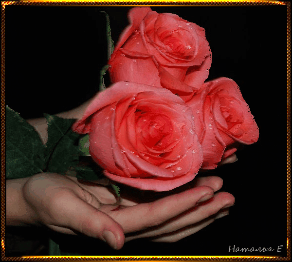 Фото – Google+