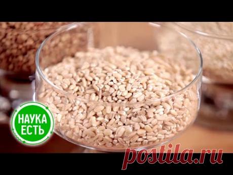 Наука есть. Крупы