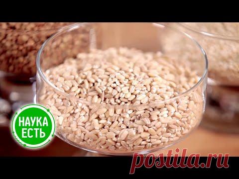 Наука есть. Крупы