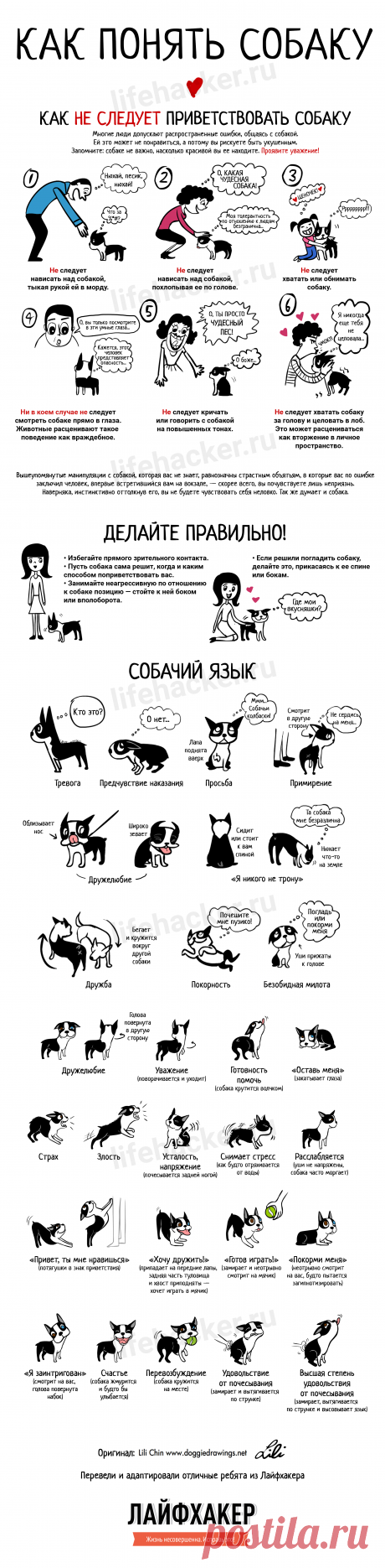 собачки | Записи в рубрике собачки | Дневник galu196.