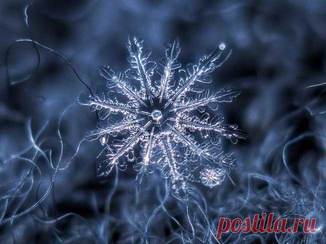 Целебные свойства талой воды