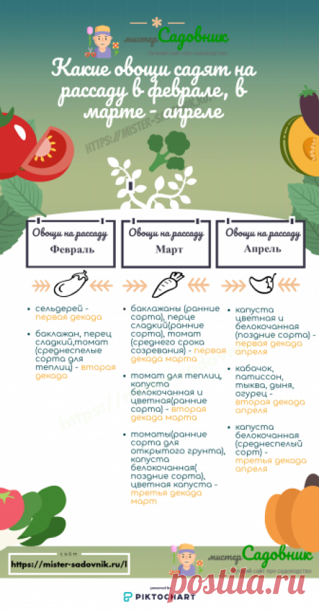 Сроки посева семян на рассаду и в грунт - таблица