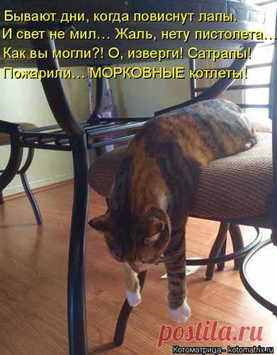 Смешные картинки про еду в веселых 