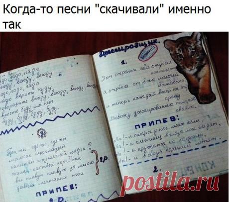 Только смешные фото из жизни людей и других животных