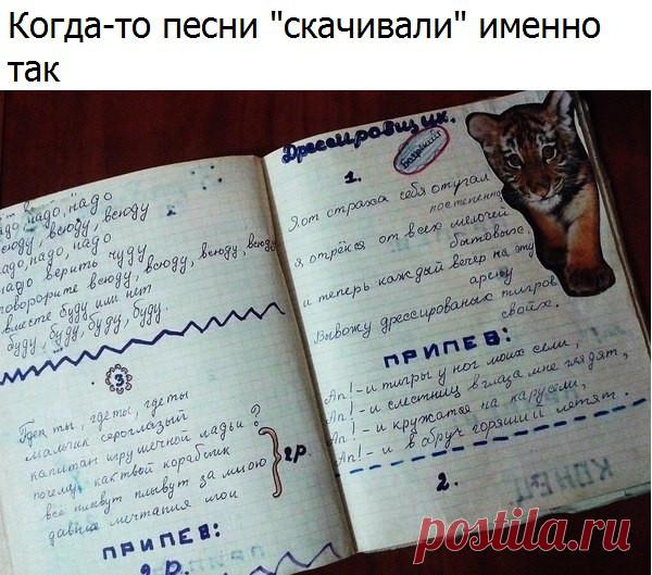 Только смешные фото из жизни людей и других животных