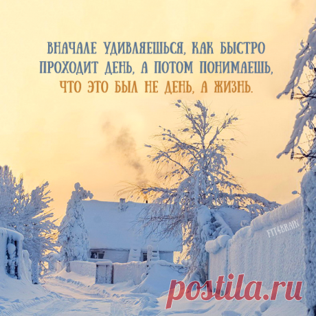 жизнь