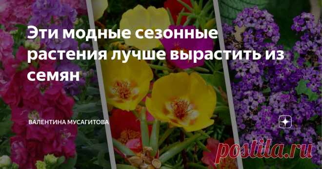 Эти модные сезонные растения лучше вырастить из семян