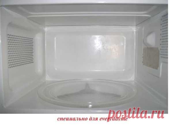 Очистить микроволновку - легко! | EverydayMe Russia