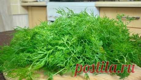 Мой метод заготовки зелени на зиму. Без высушивания и замораживания. | Роскошная Усадьба | Яндекс Дзен