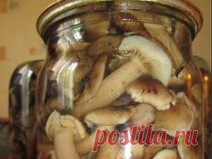 Простые маринованные опята - рецепт с фото