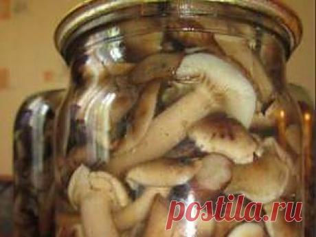 Простые маринованные опята - рецепт с фото