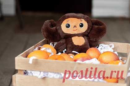 Израиль отреагировал на споры о еврейском происхождении Чебурашки