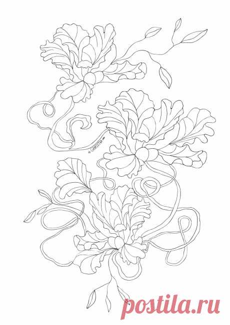Контурные рисунки. Раскраски. Микс