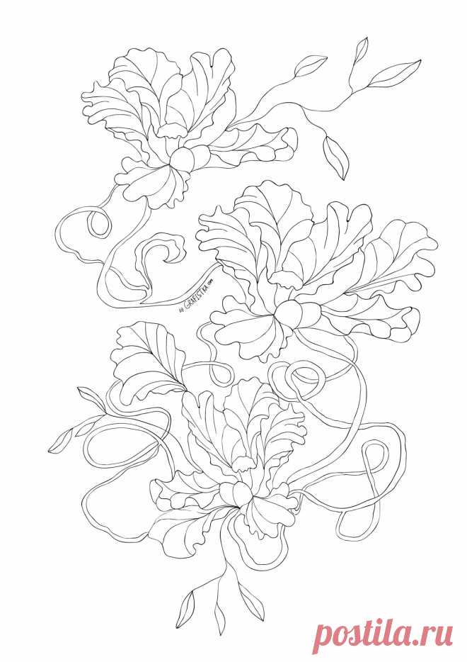 Контурные рисунки. Раскраски. Микс