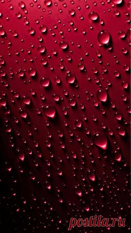 (458) Pinterest