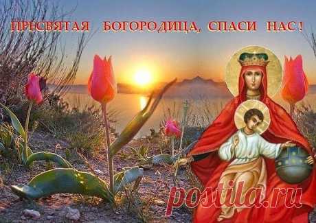 (69) Одноклассники