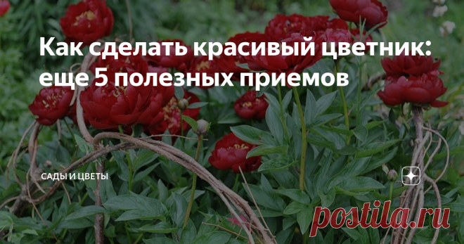 Как сделать красивый цветник: еще 5 полезных приемов Эти несложные мероприятия по планированию посадок и уходу за цветником помогут сделать его внешний вид эффектнее. 1. Опоры из прутьев и веток Некоторые многолетники разваливаются в стороны без опор. Обратите внимание на ветки, остающиеся в результате обрезки кустарников. Они смотрятся в композиции естественно и гармонично. Прутья можно установить в виде обелиска (опора для невысоких лиан и вьющихся однолетников), связать...