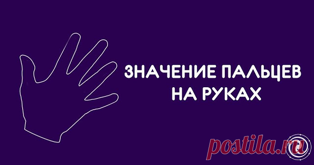 ЗНАЧЕНИЕ ПАЛЬЦЕВ НА РУКАХ 
 
Семь энергетических центров человека, отвечающих за психическое состояние, взаимосвязаны с пальцами и руками, как бы 