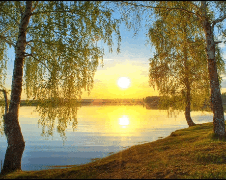 Фотографии ПоГуЛяЙ По РаДуГе °•✿ܨܓܨ - 10000 фото в Моем Мире.