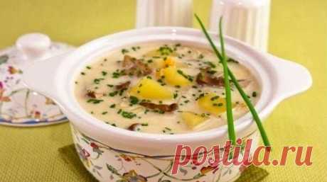 Сырный суп с грибами - вкусные для вашей семьи - Первые блюда | Люблю готовить