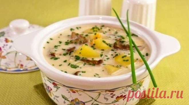 Сырный суп с грибами - вкусные для вашей семьи - Первые блюда | Люблю готовить