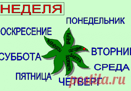 Госпожа неделя.