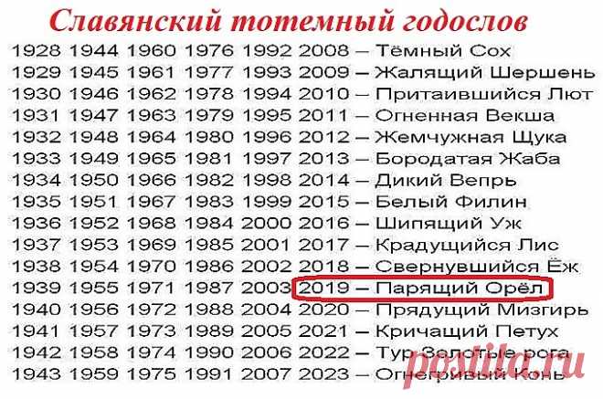 Новый Год Орла